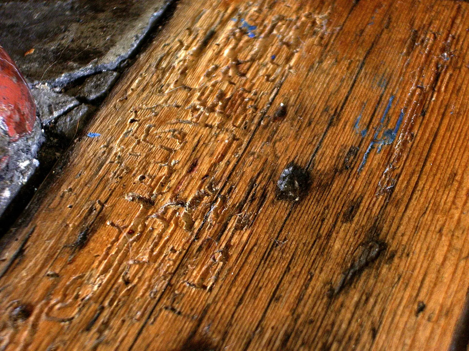 Trous et galeries d’insectes dans une planche de bois